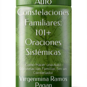 Sibling Relationships Book Spanish Edition Kindle – 223 Pages Age-0